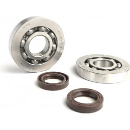 Crankshaft bearings & seals...