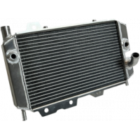 Buy now Piaggio & Gilera Radiators - High Quality for the